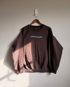 I Could Be Meaner Sweatshirt - Brown / Blue