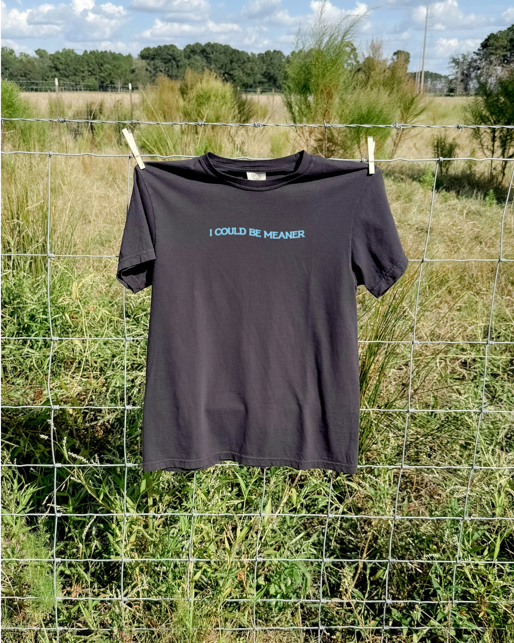 I Could Be Meaner Tee - Graphite / Blue