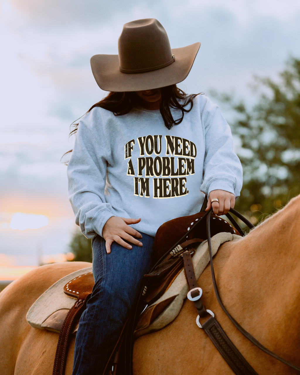 If You Need A Problem I'm Here Sweatshirt - Ash / Brown