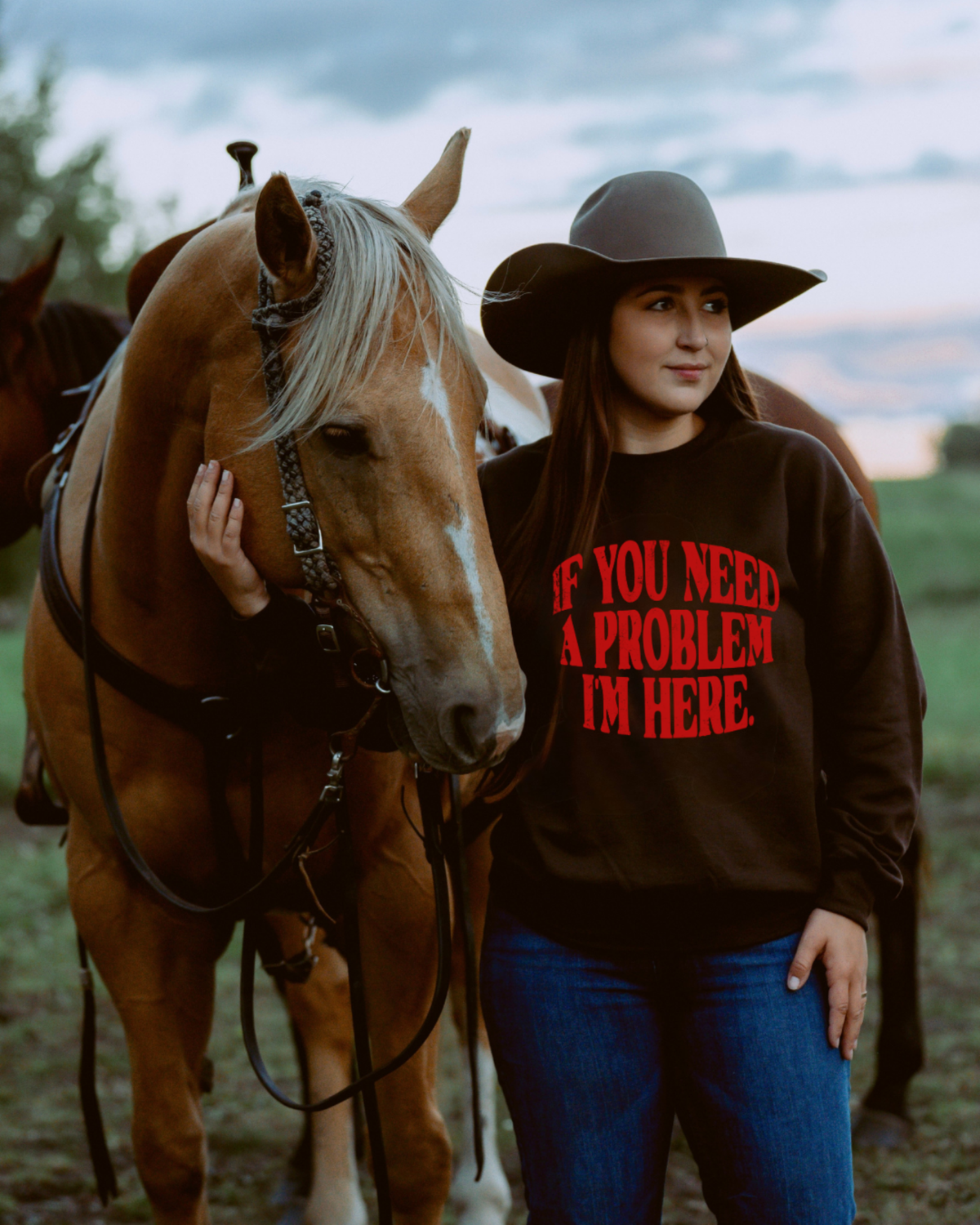 If You Need A Problem I'm Here Sweatshirt - Brown / Red