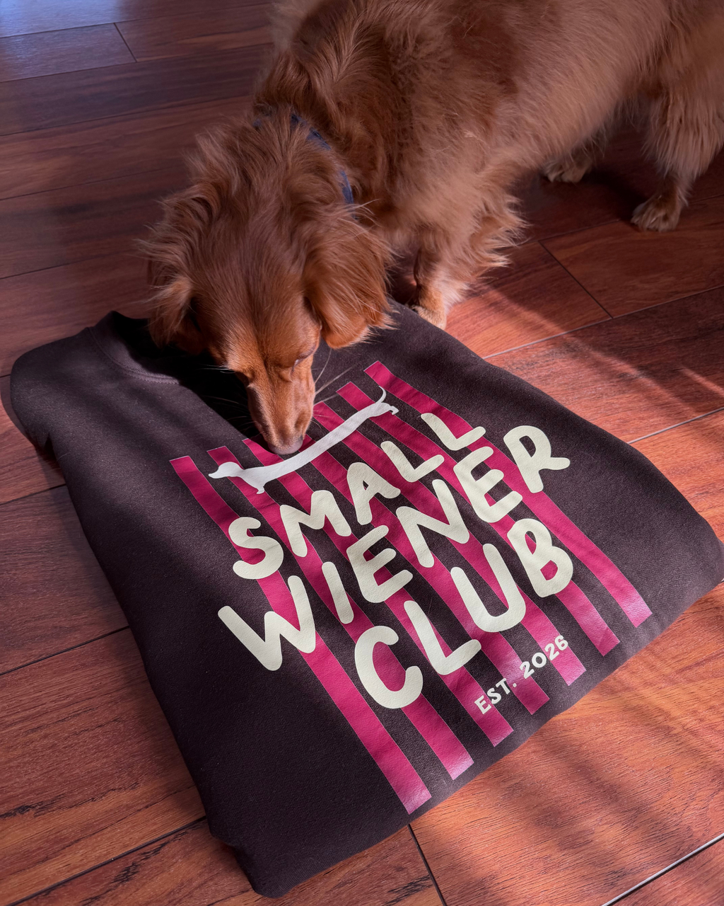 Small Wiener Club Sweatshirt - Brown / Yellow